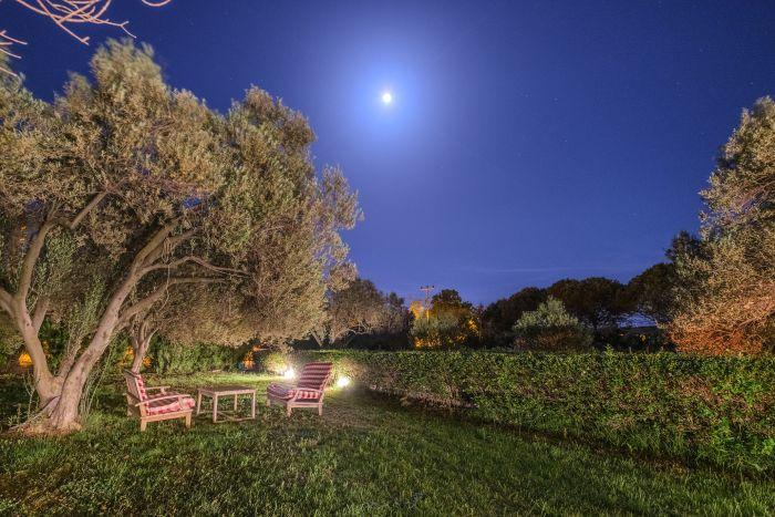 A tranquil evening in our garden, where the stars shine brightly against the backdrop of a dark, spacious sky.Our spacious garden transforms into a stargazer's paradise at night, with a clear view of the twinkling stars above.