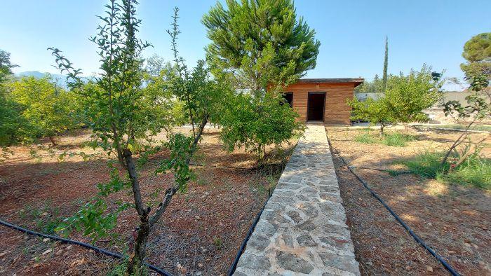 Wooden Villa w/Private Garden & Orchard -Room w/AC