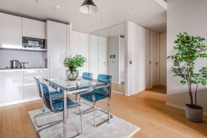 A minimalist American-style kitchen with stainless steel appliances and chic decor.